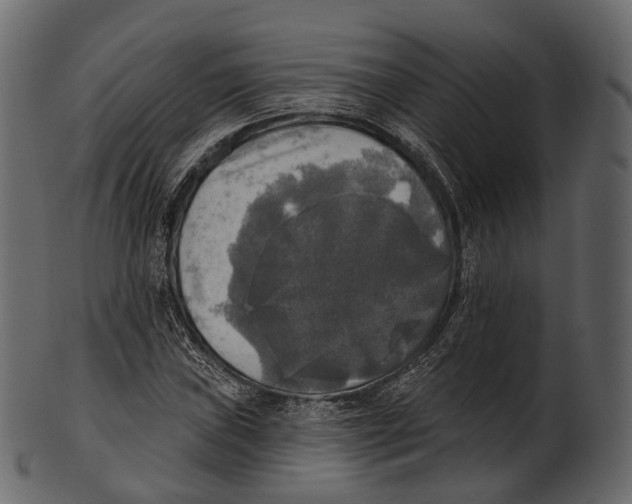 X0000100501019200807031936