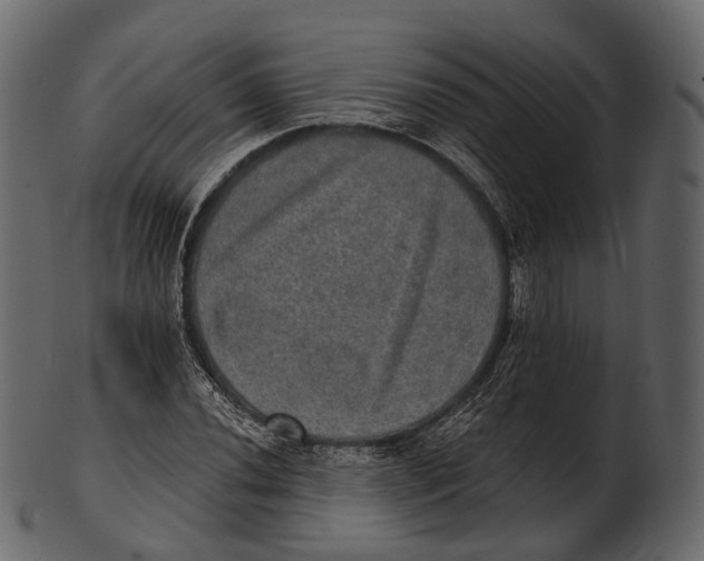 X0000100501020200807031936