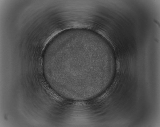 X0000100501021200807031936