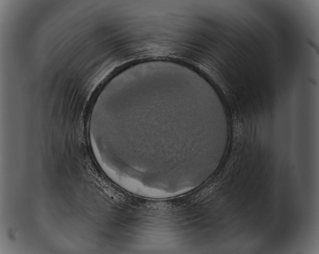 X0000100501023200807031936