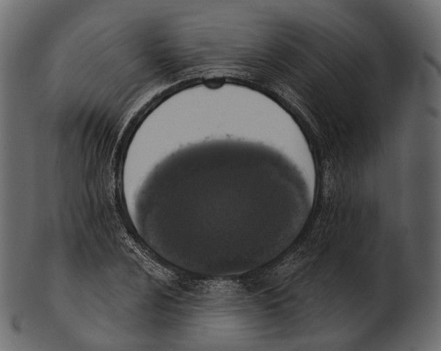 X0000100501024200807031936