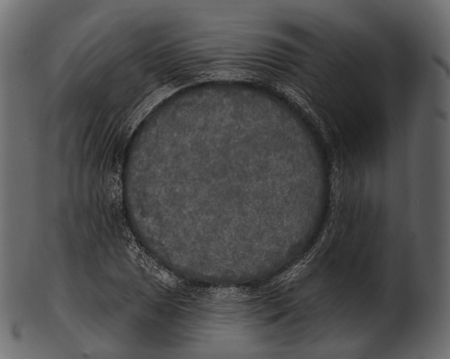 X0000100501025200807031936