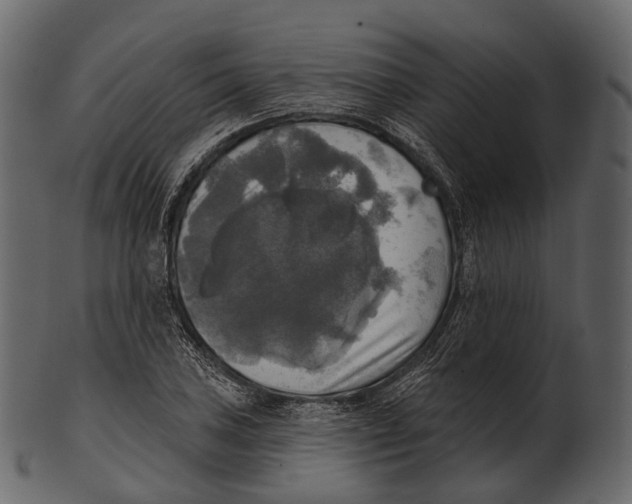 X0000100501027200807031936