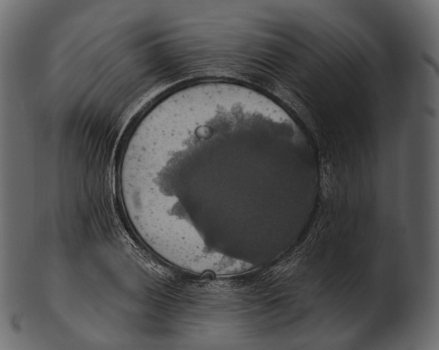 X0000100501028200807031936