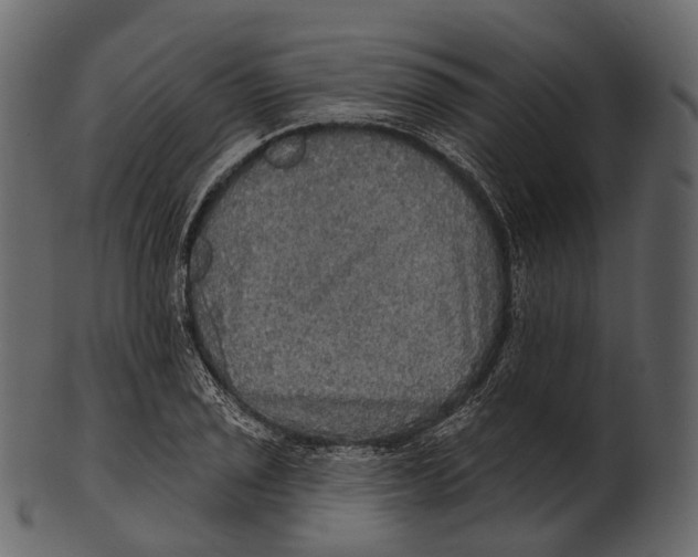 X0000100501029200807031936