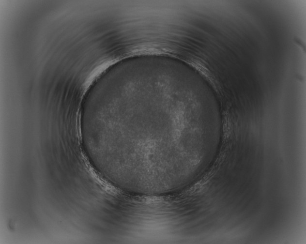 X0000100501030200807031936