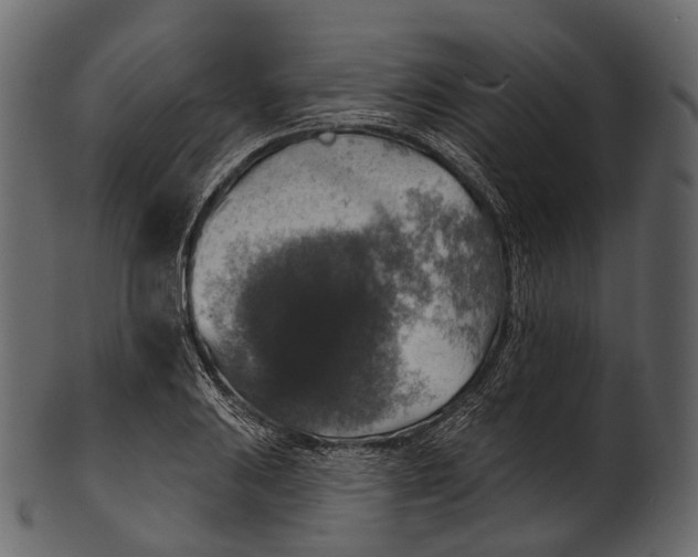 X0000100501031200807031936