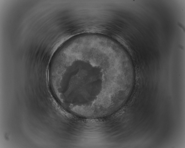 X0000100501032200807031936