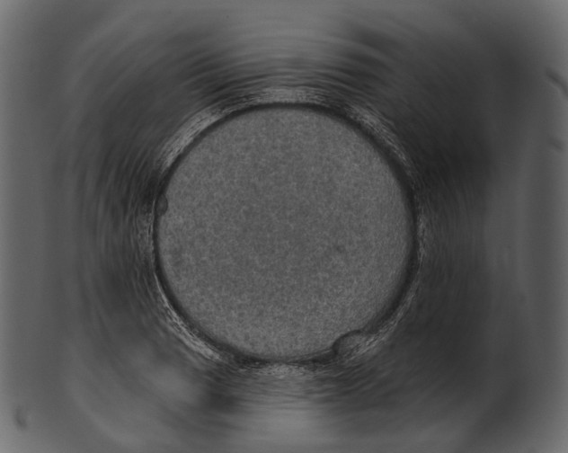 X0000100501033200807031936