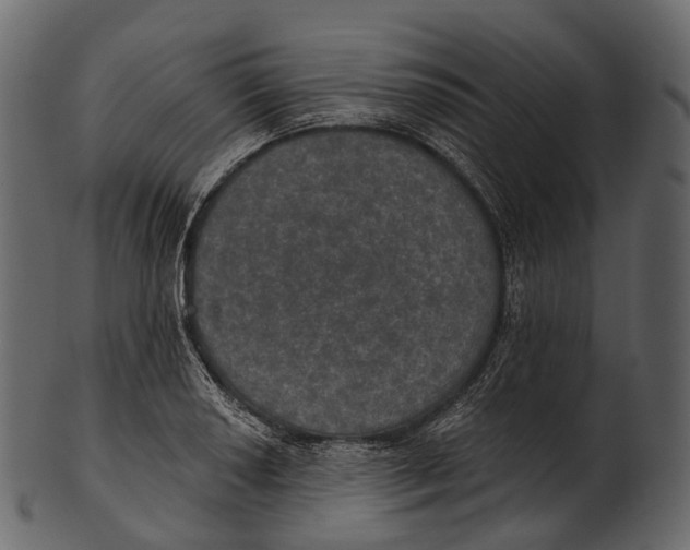 X0000100501034200807031936