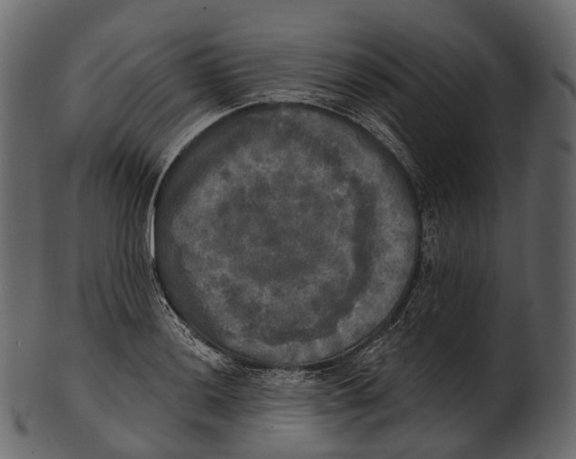 X0000100501036200807031936