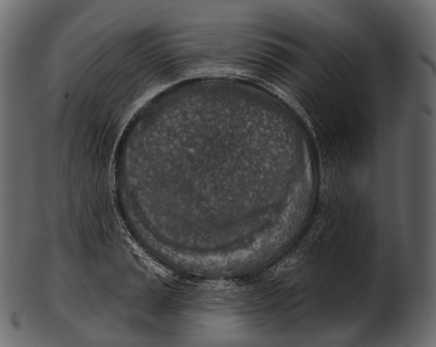 X0000100501037200807031936