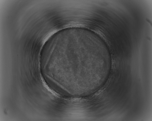 X0000100501038200807031936