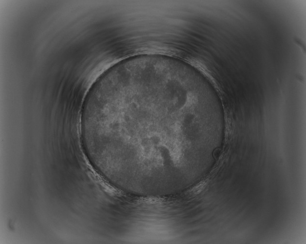 X0000100501040200807031936