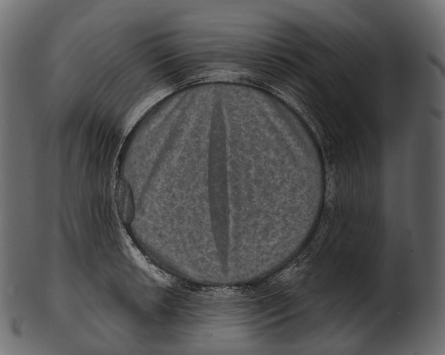 X0000100501042200807031936