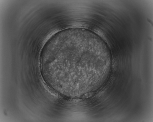 X0000100501043200807031936