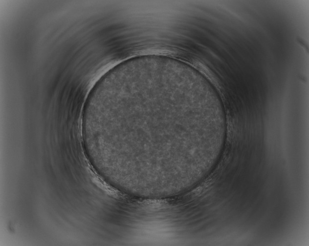 X0000100501044200807031936