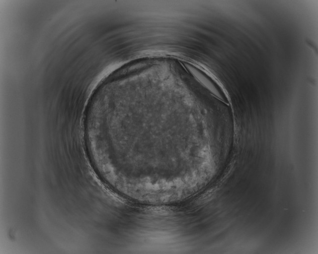 X0000100501045200807031936