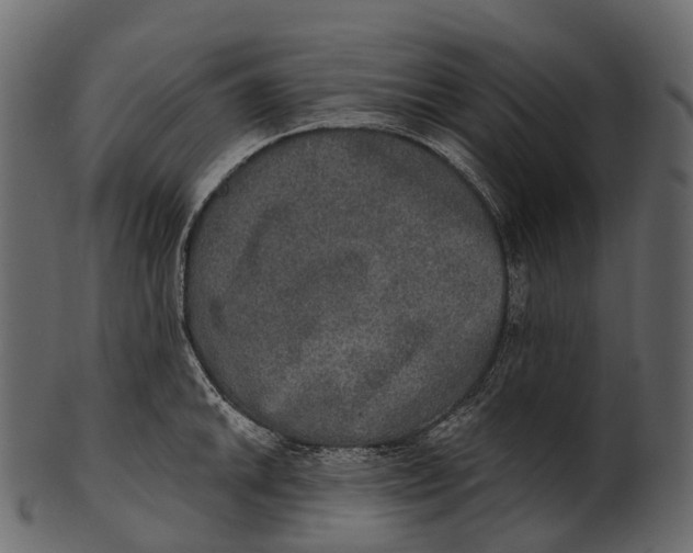 X0000100501046200807031936