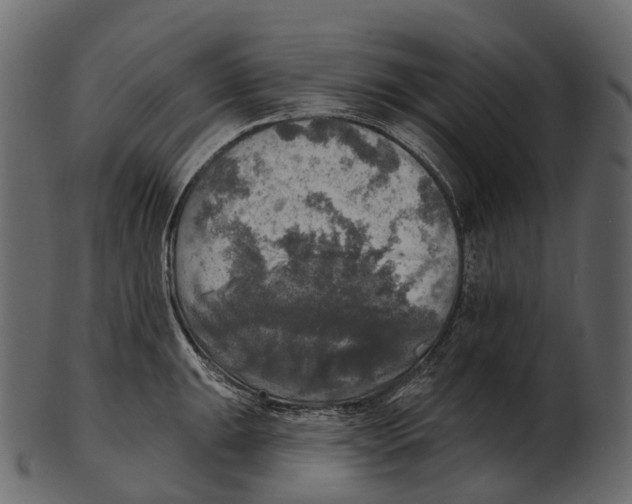 X0000100501047200807031936