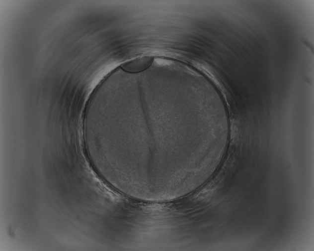 X0000100501048200807031936