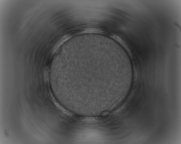 X0000100501049200807031936