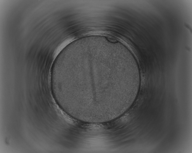 X0000100501050200807031936