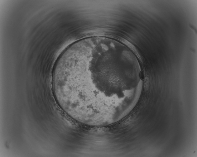 X0000100501051200807031936