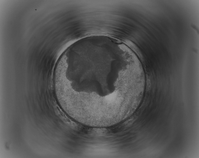 X0000100501052200807031936