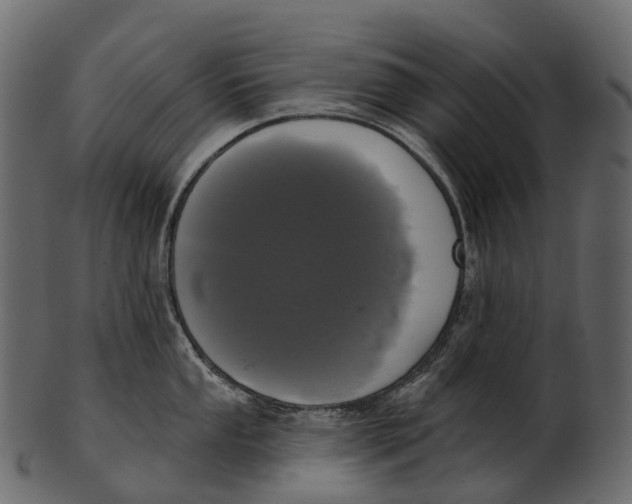 X0000100501053200807031936