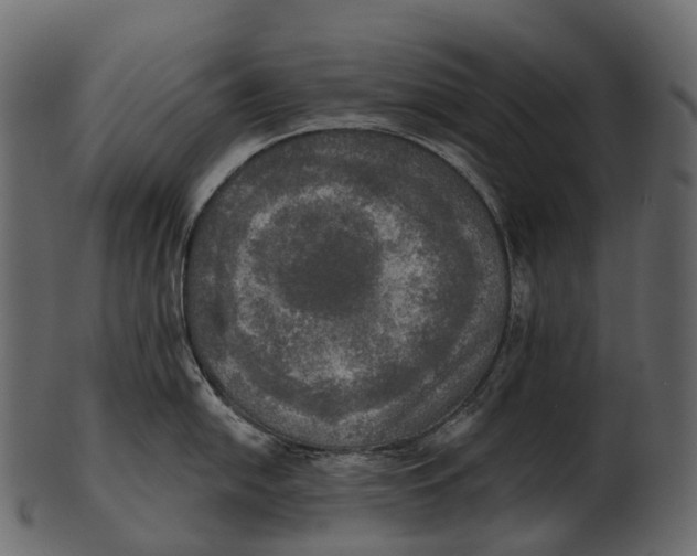 X0000100501054200807031936