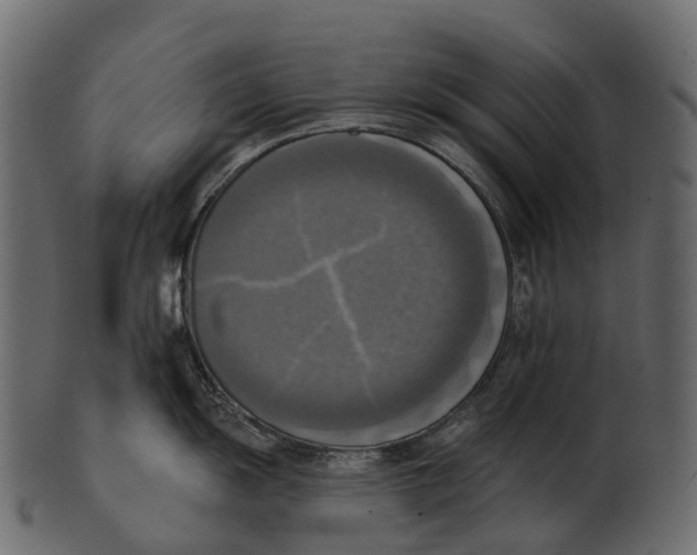 X0000100501055200807031936