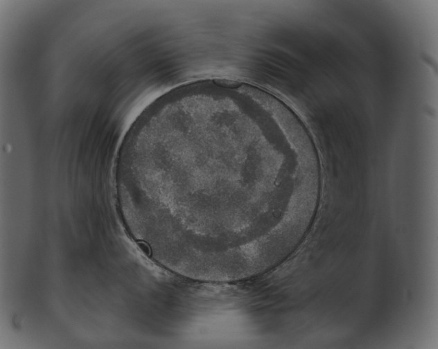 X0000100501056200807031936