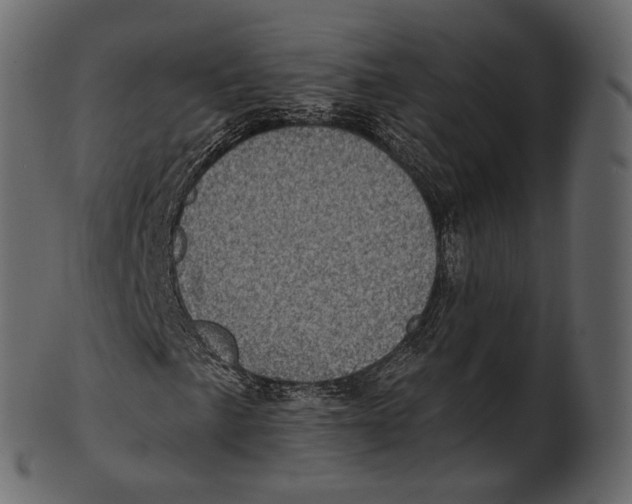 X0000100501057200807031935