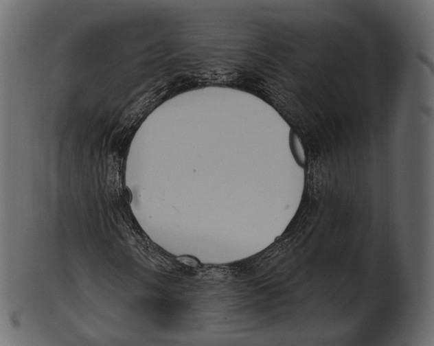 X0000100501058200807031935