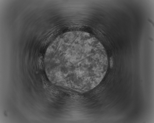 X0000100501059200807031935