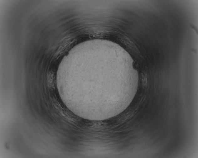 X0000100501060200807031935