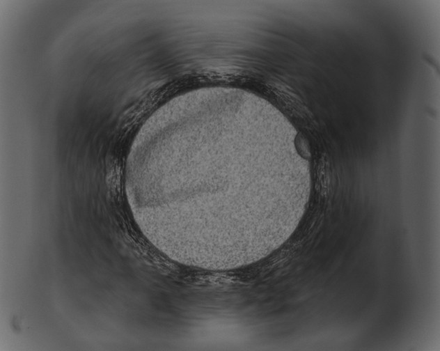 X0000100501061200807031935