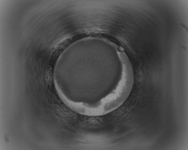 X0000100501063200807031935