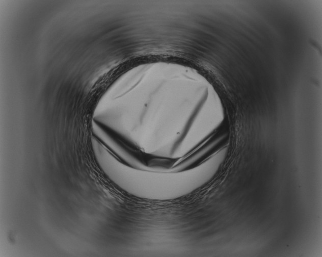 X0000100501064200807031935