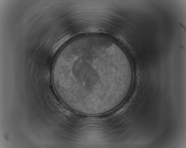 X0000100501065200807031935