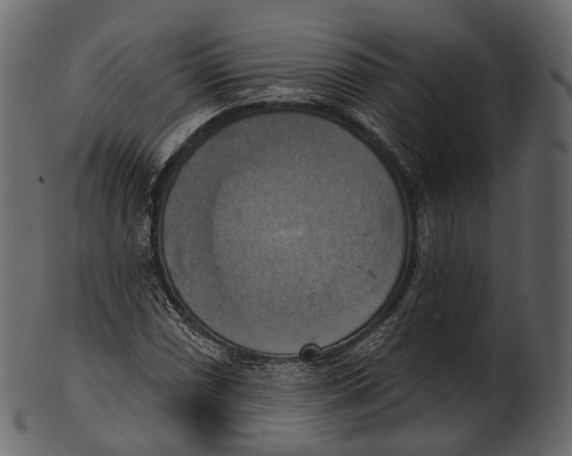 X0000100501066200807031935