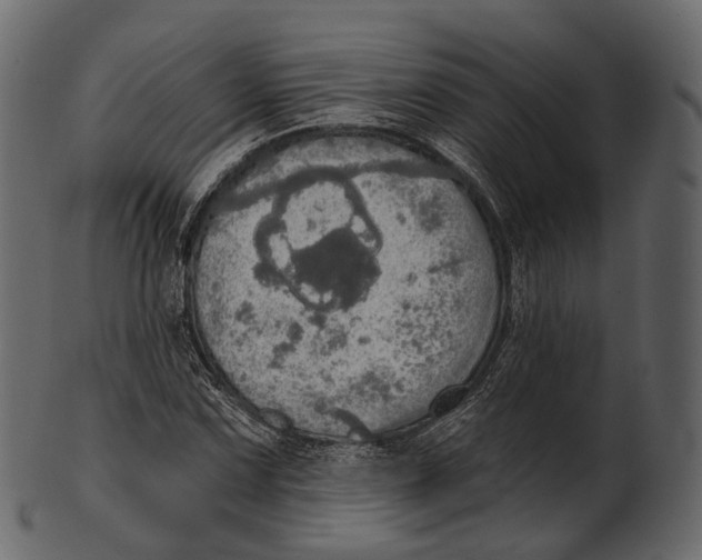 X0000100501067200807031935