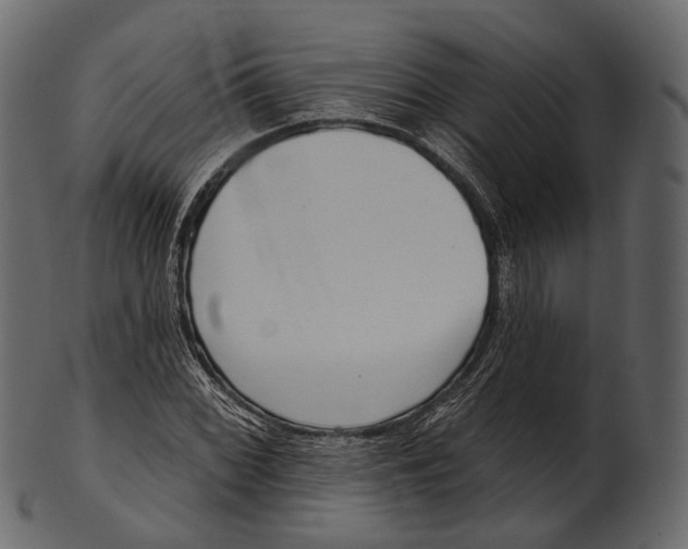 X0000100501068200807031935