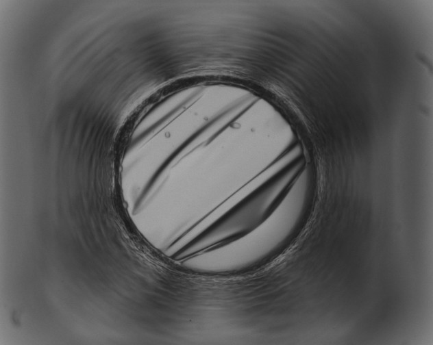 X0000100501069200807031935