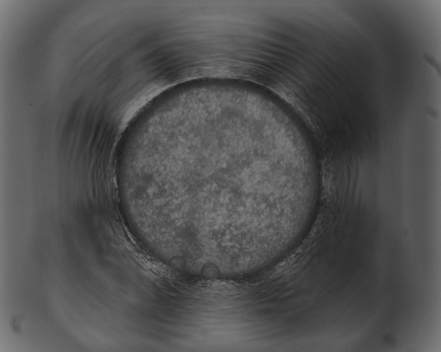 X0000100501070200807031935