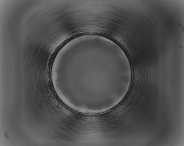 X0000100501071200807031935