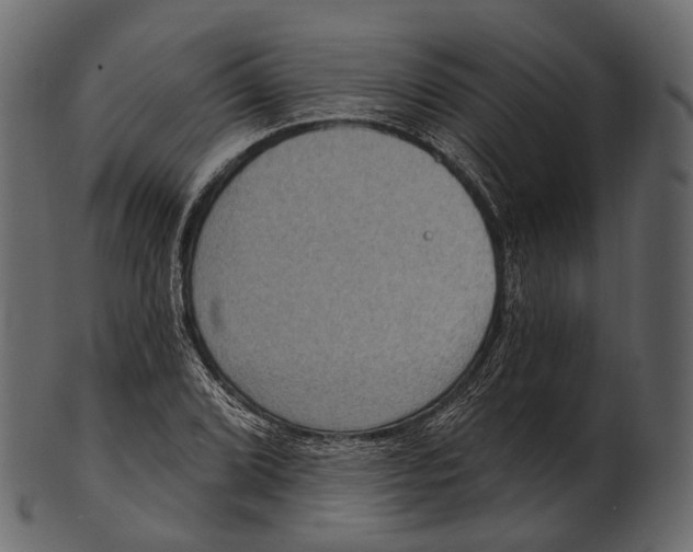 X0000100501072200807031935