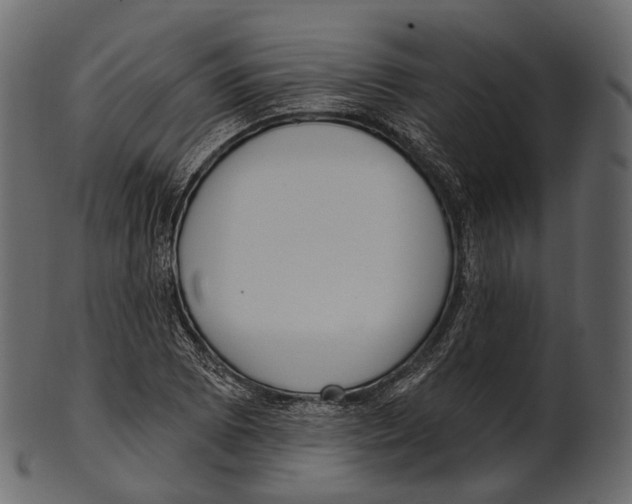 X0000100501073200807031935