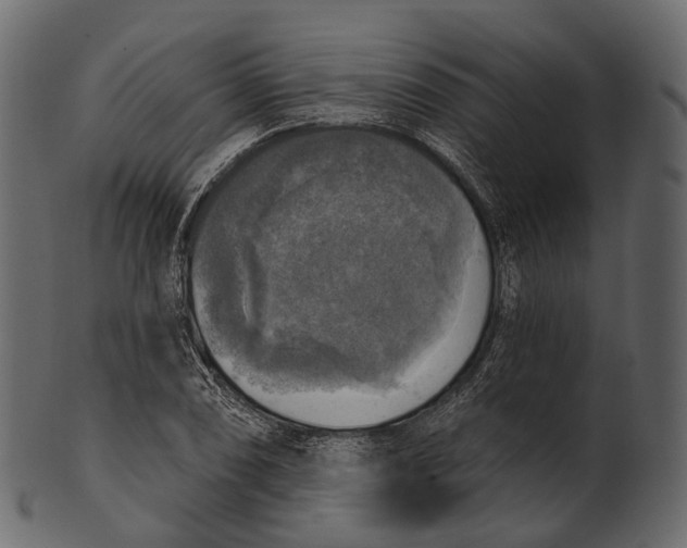 X0000100501074200807031935